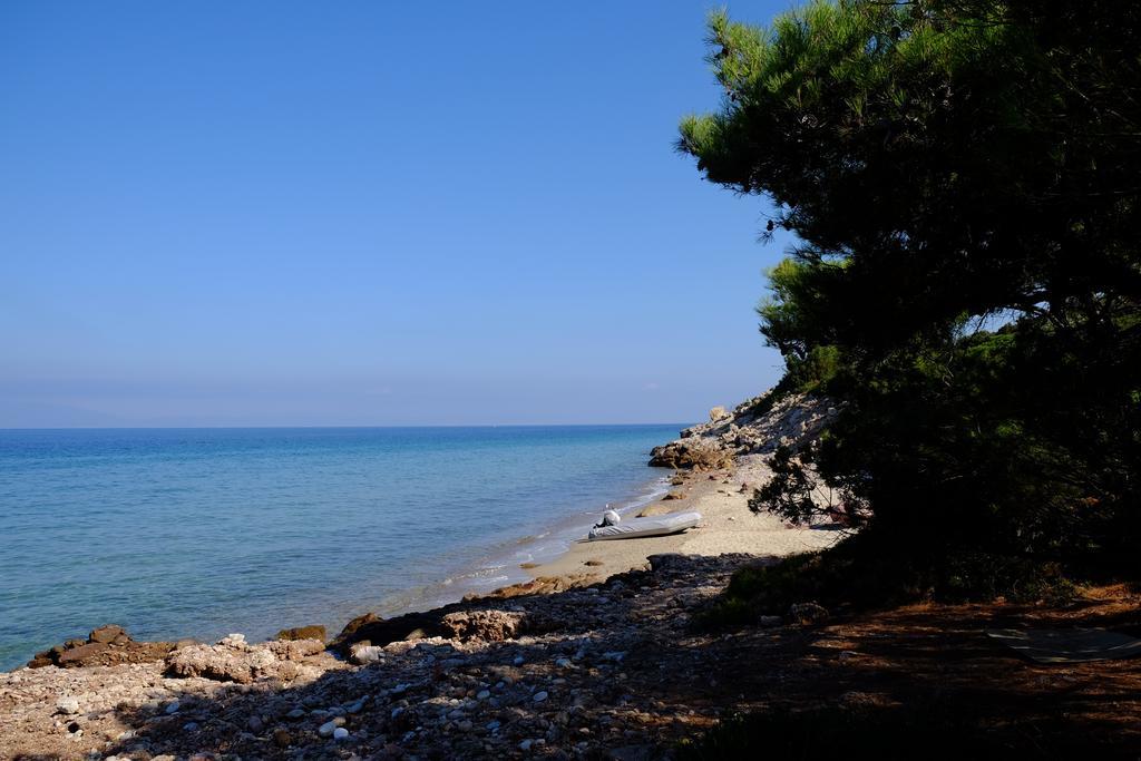 Ladanos Apartment Thassos Kallirákhi Exteriör bild