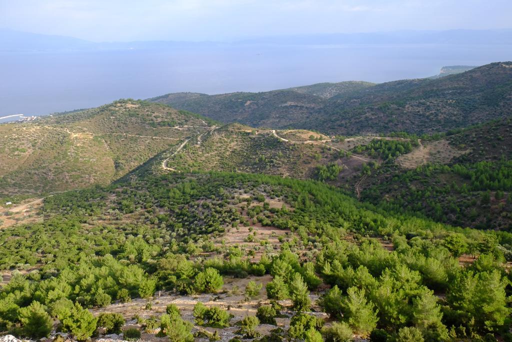 Ladanos Apartment Thassos Kallirákhi Exteriör bild