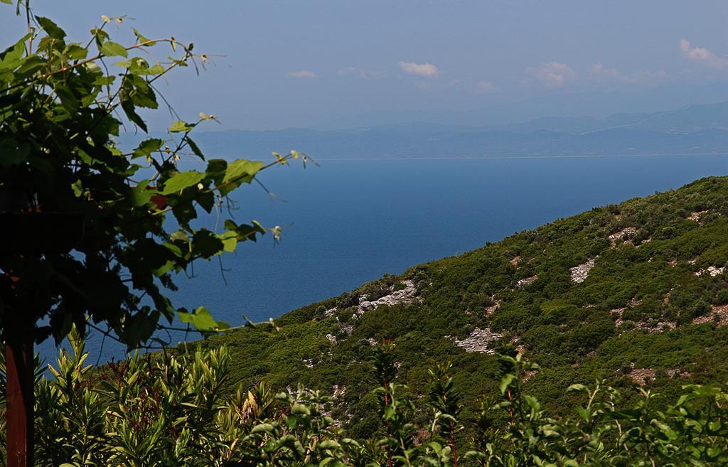 Ladanos Apartment Thassos Kallirákhi Exteriör bild